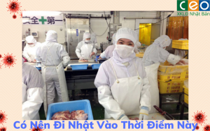 Có Nên Đi Nhật Vào Thời Điểm Này