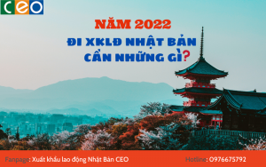 Đi xklđ Nhật Bản cần những gì