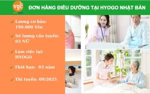 Tuyển 03 Nữ điều dưỡng hộ lý làm việc tại Hyogo Nhật Bản lương cao chế độ tốt