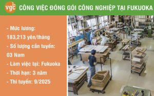 Tuyển 03 Nam đơn hàng đóng gói công nghiệp tại Fukuoka Nhật Bản