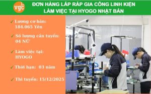 Đơn hàng lắp ráp linh kiện tại Hyogo Nhật Bản
